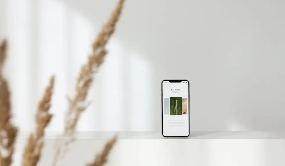 salaire-developpeur-mobile-ios-vs-android-vs-react-native